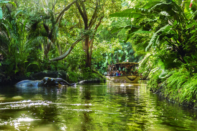 The world-famous Jungle Cruise at Disneyland Park invites guests to board a canopied tramp steamer and leave civilization behind on a tongue-in-cheek journey through the globe’s most “treacherous” rivers—and oldest gags, where the animals get the last laugh. (Joshua Sudock/Disneyland Resort)